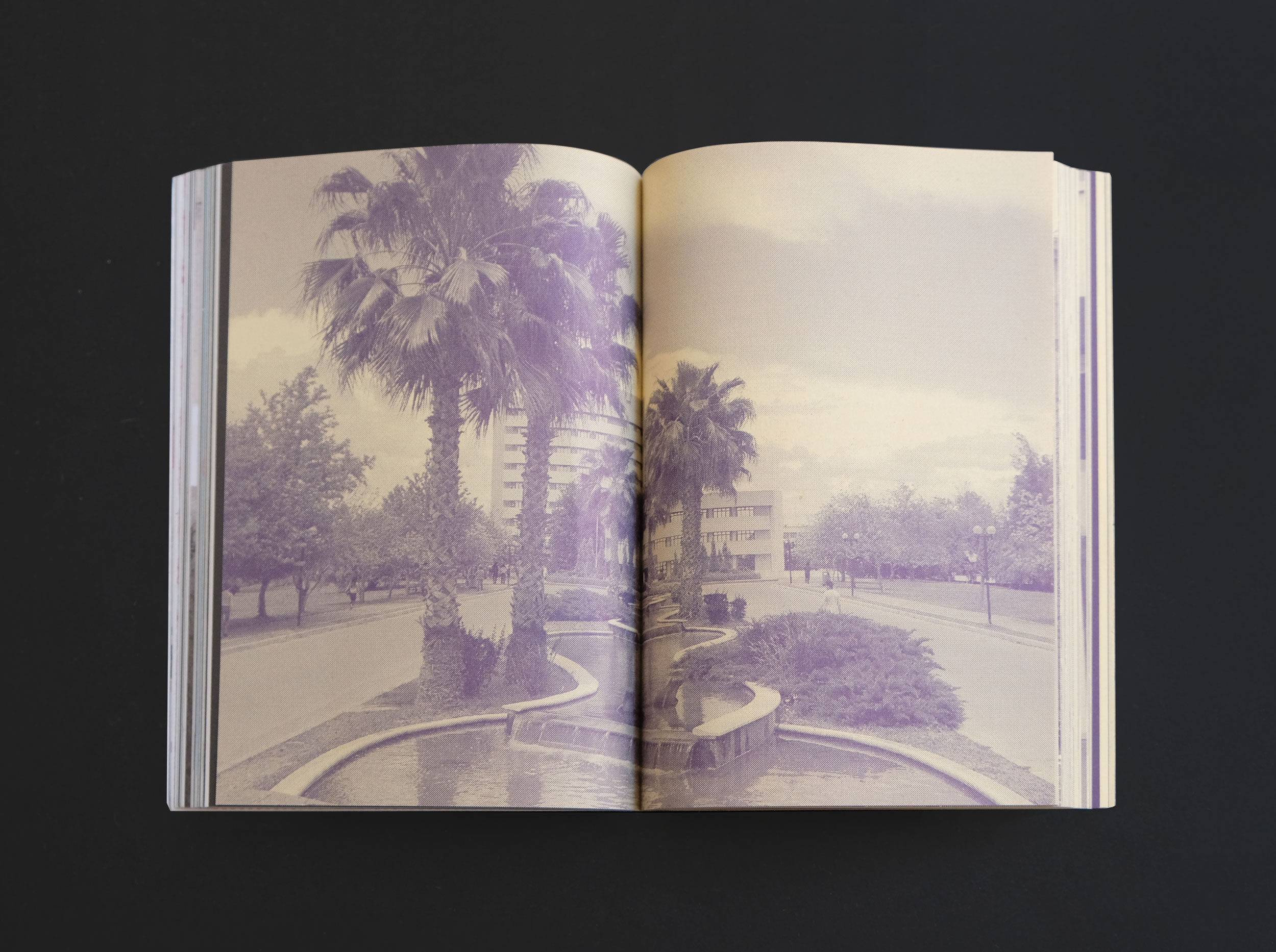 Offene Doppelseite der Publikation "Hand HOCH, Rollmops!", darauf eine Stadtlandschaft mit Palmen zu sehen